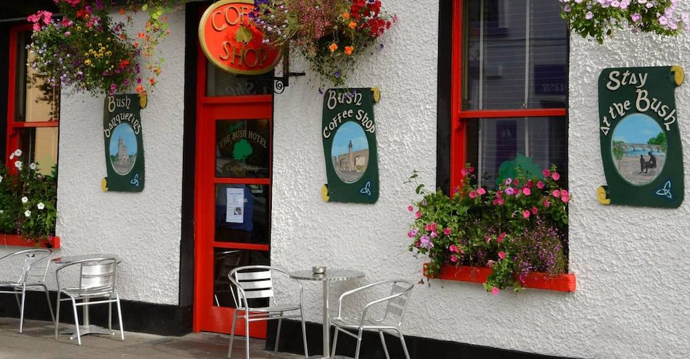 Bush Hotel County Leitrim エクステリア 写真