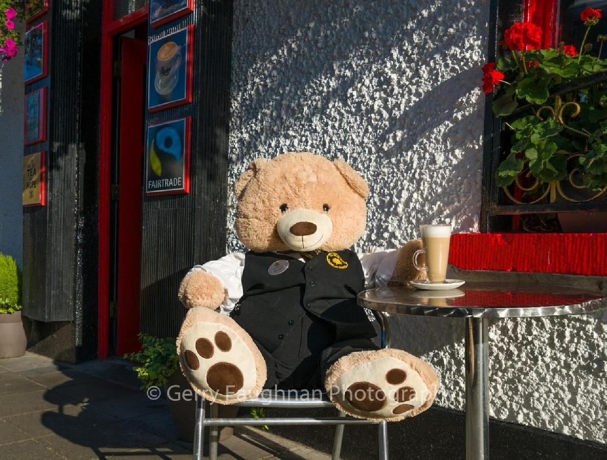 Bush Hotel County Leitrim エクステリア 写真